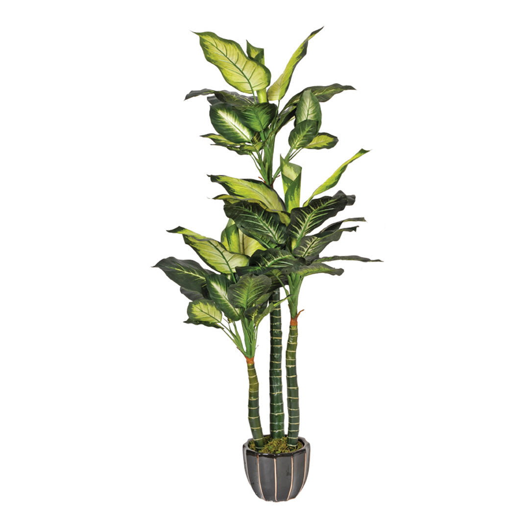 Planta Artificial Pata De Elefante - Decoración Natural Sin Mantenimiento 1.5 M / Multicolor_1