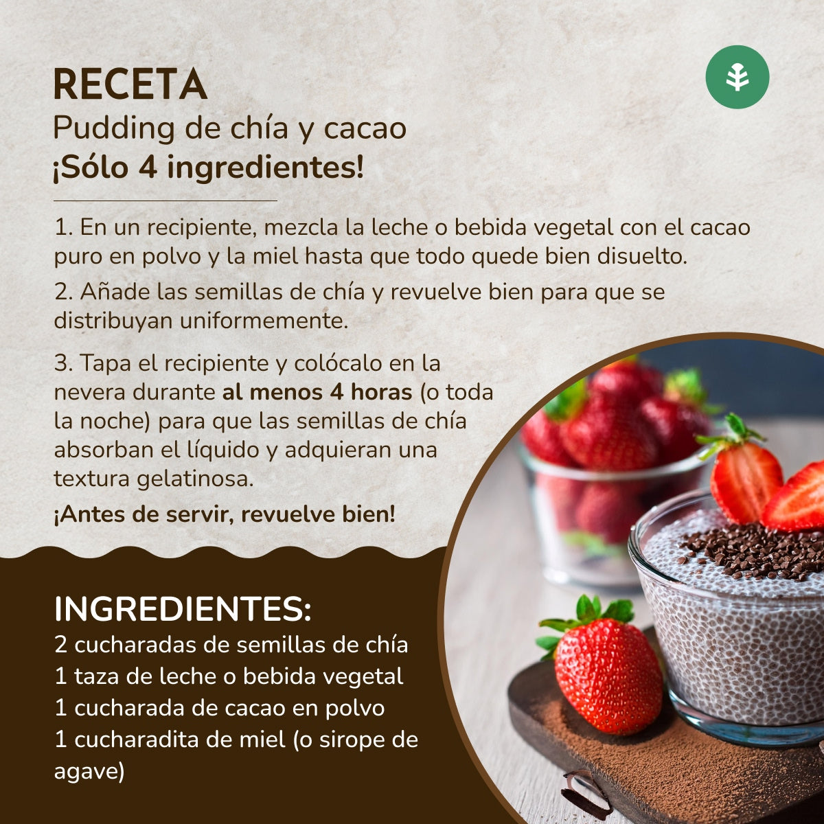 Cacau em pó biológico da Planeta Huerto