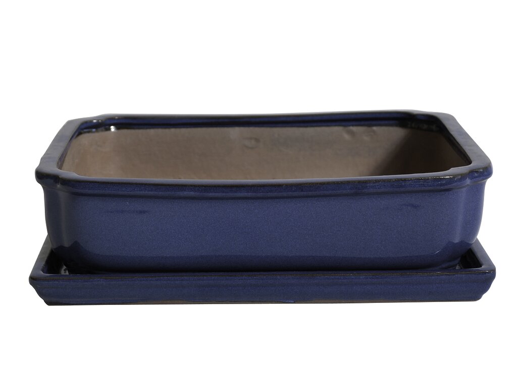 Tiesto Laxe Azul Con Plato 22x16x7cm_0