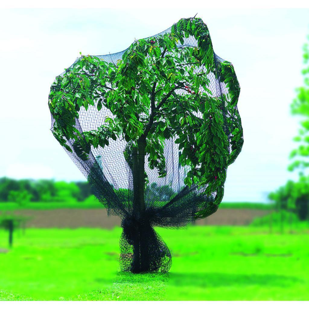 Rede anti-pássaros Nortene 8 x 10 m