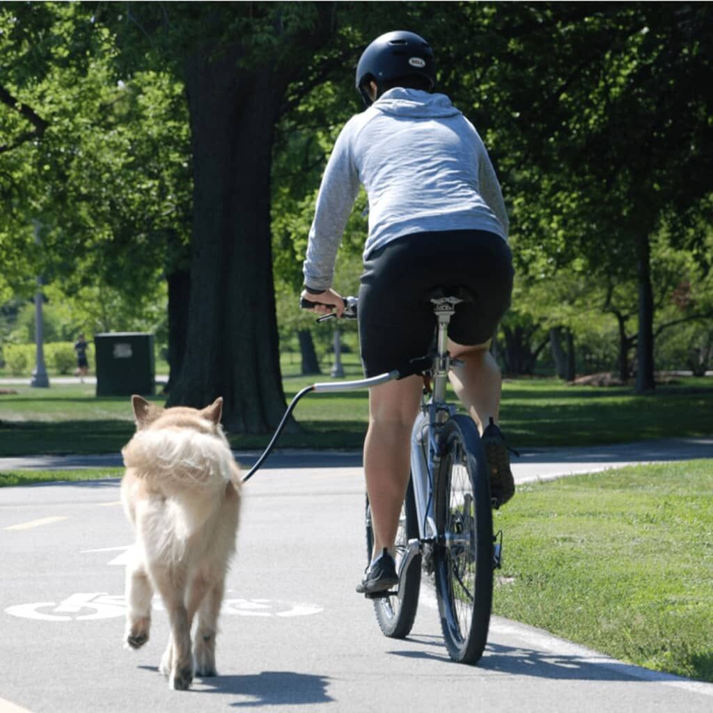 Petego Correa Universal Para Bicicleta Para Perros Cycleash 85 Cm_4