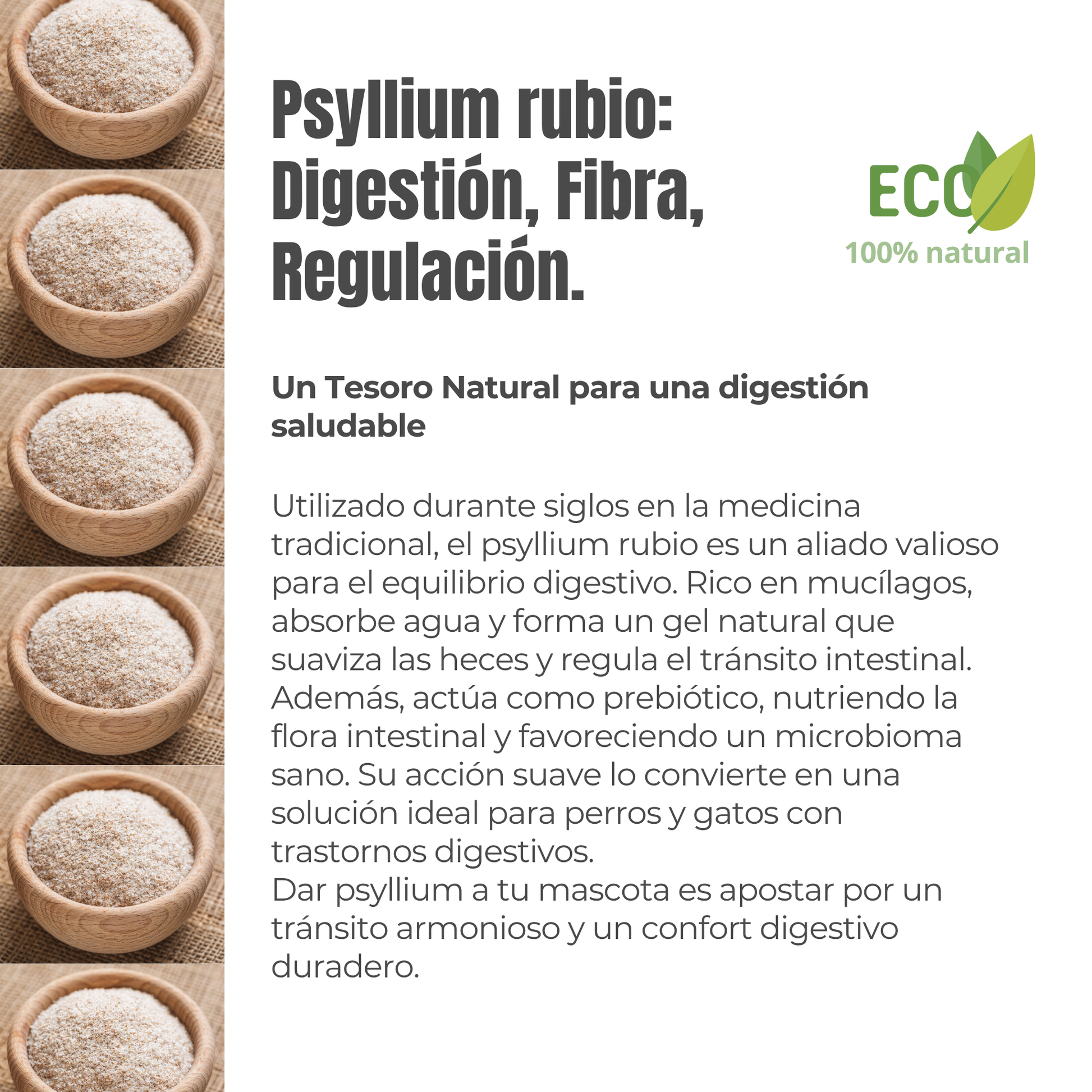 Suplemento natural para perros y gatos – Psyllium ECO Tránsito Intestinal 300 g
