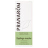 Pranarom de alfazema para homem 10 ml