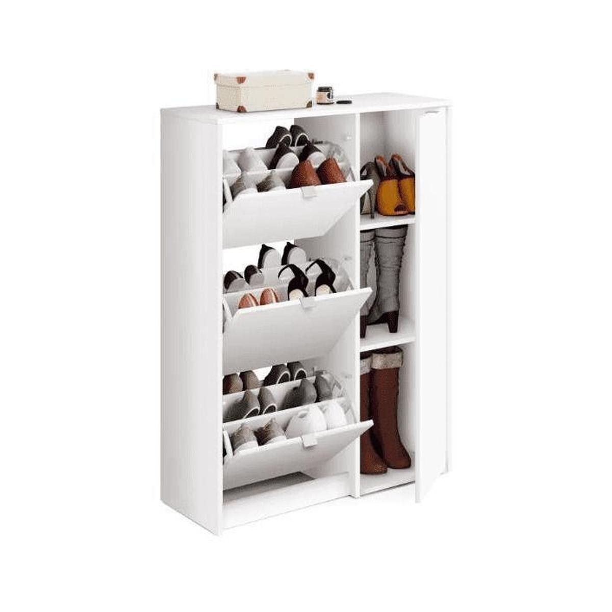 Zapatero Botero Trevi