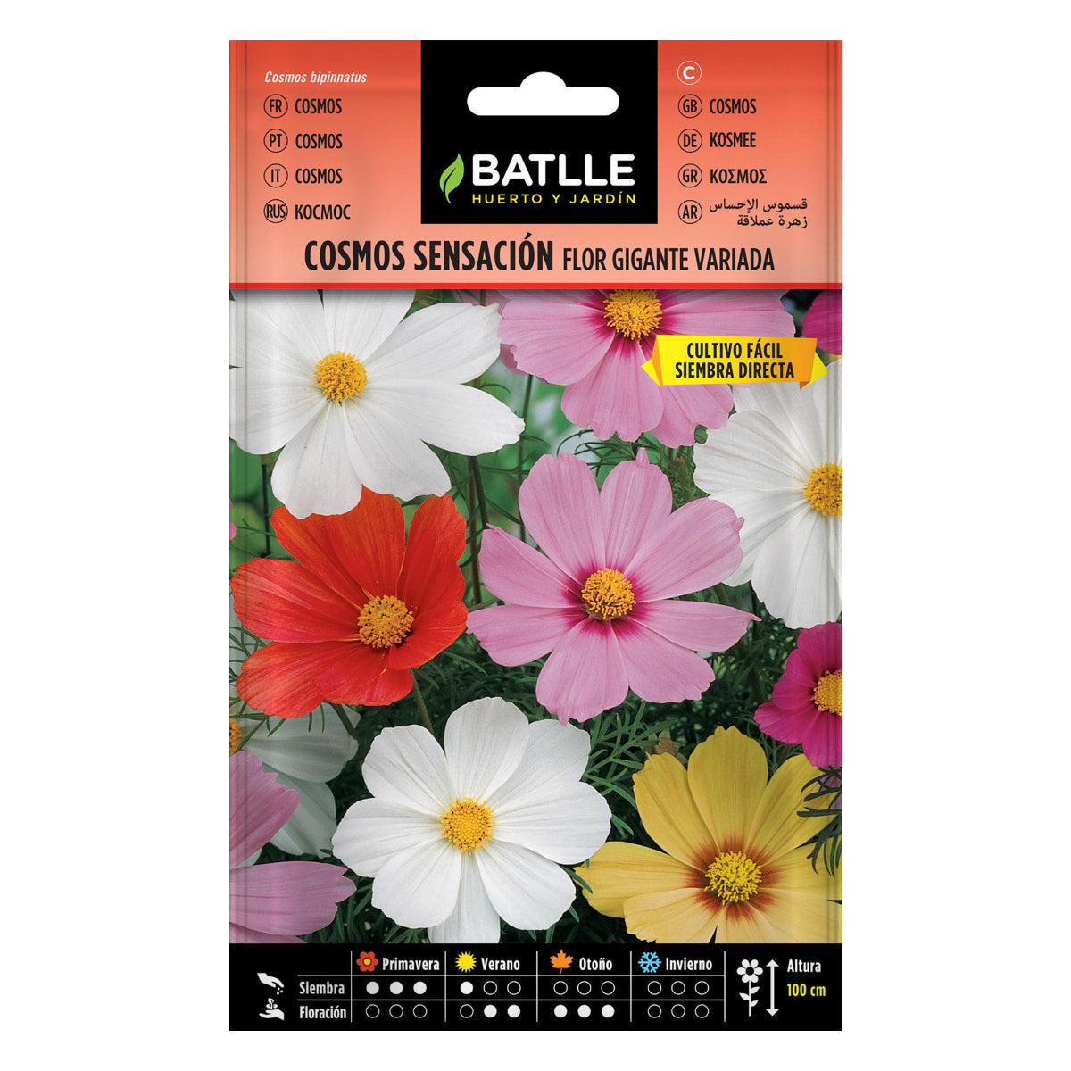 Sementes de Cosmos Batlle Giant Flower Sensation