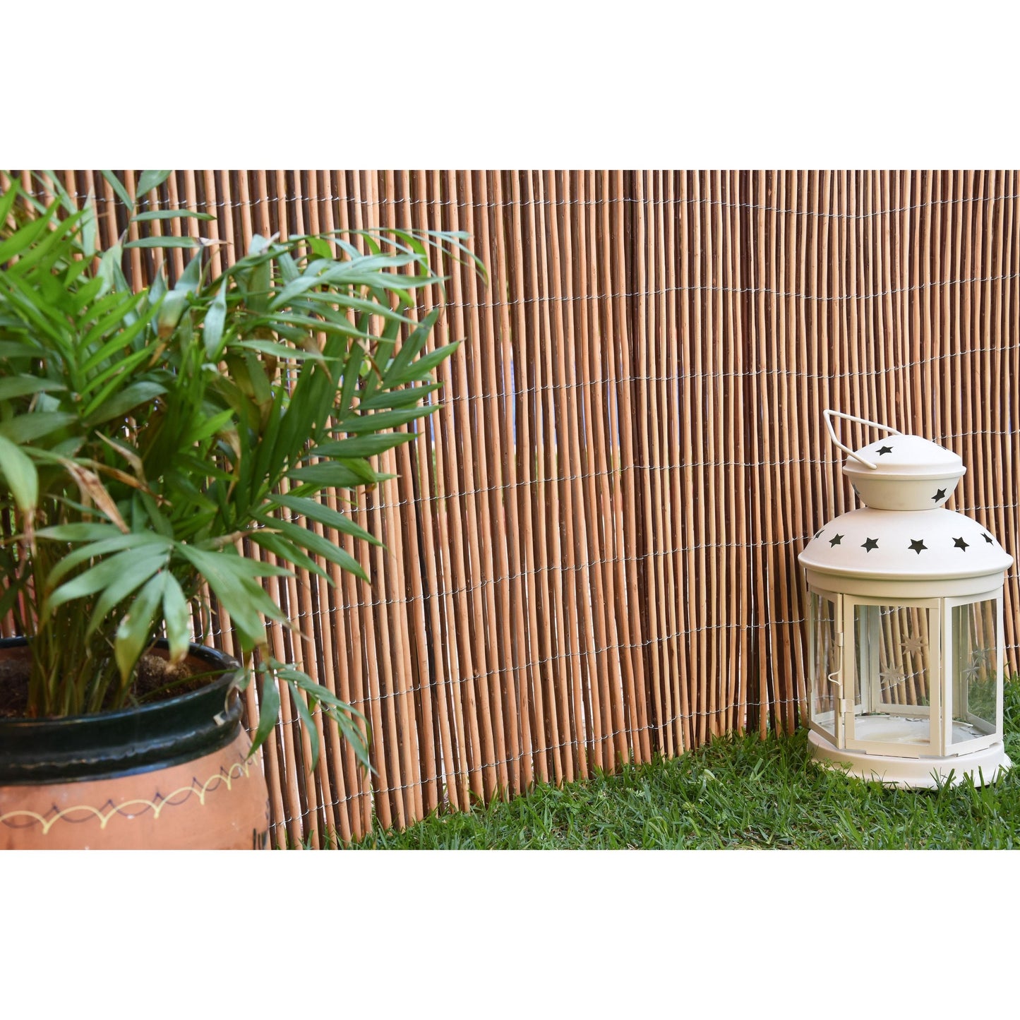 Cana de vime natural Faura Bicolor