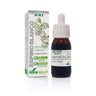 Extrato de Espinheiro Natural Soria, 50 ml
