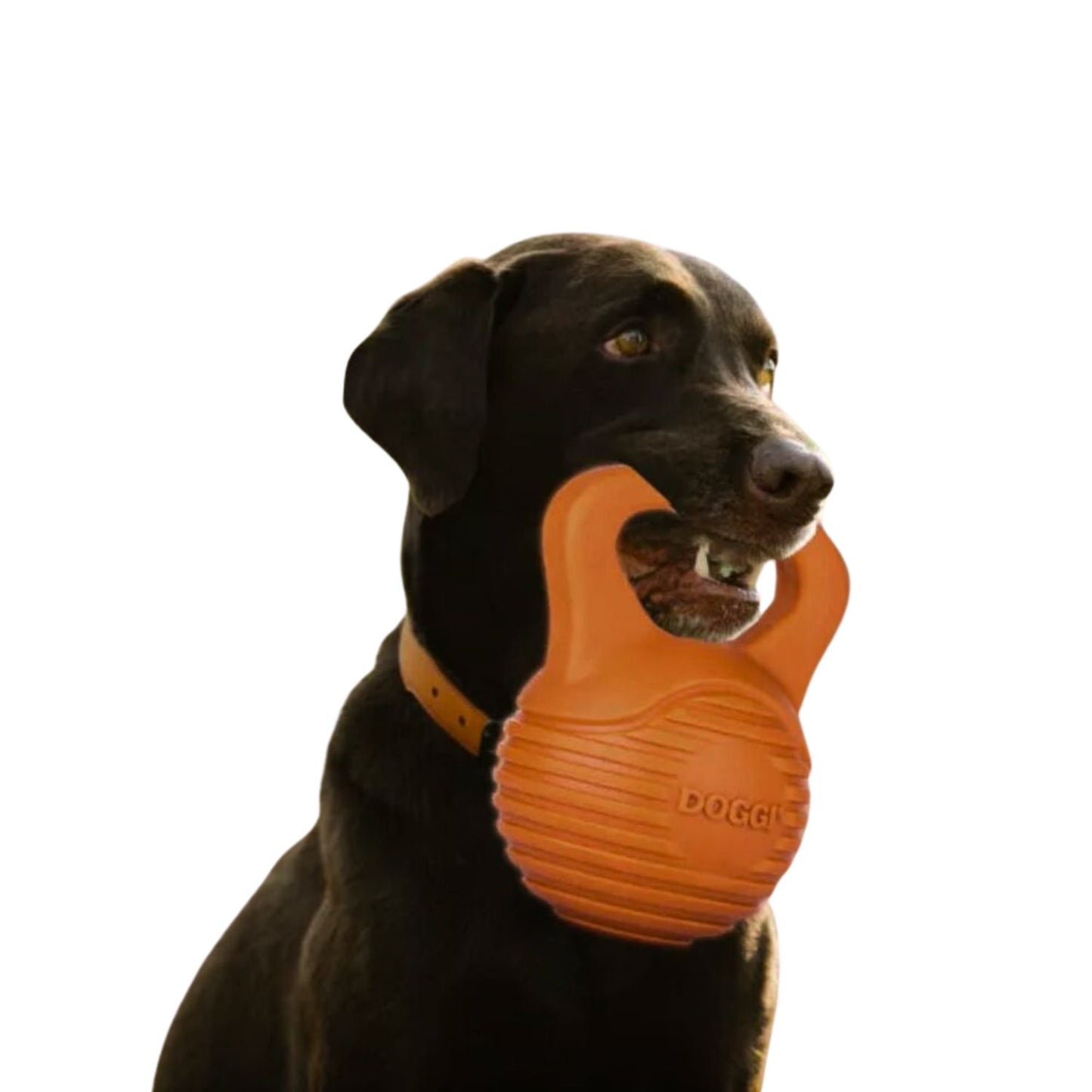 Juguete Para Perro Doggi Dumbell Talla L 26x22x15,5 Cm_3
