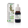 Extrato de uva-ursina natural Soria, 50 ml