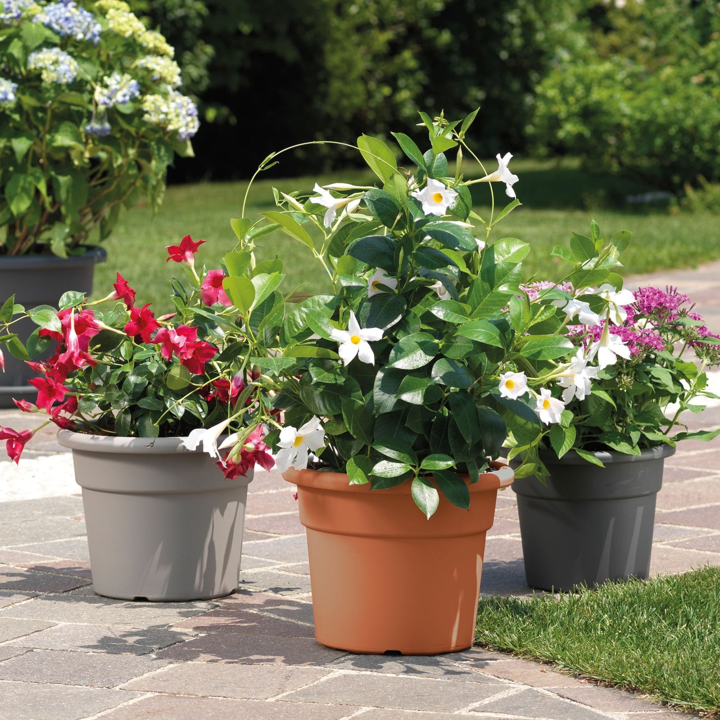 Maceta Cilíndrica Ø 20 Cm Antracita