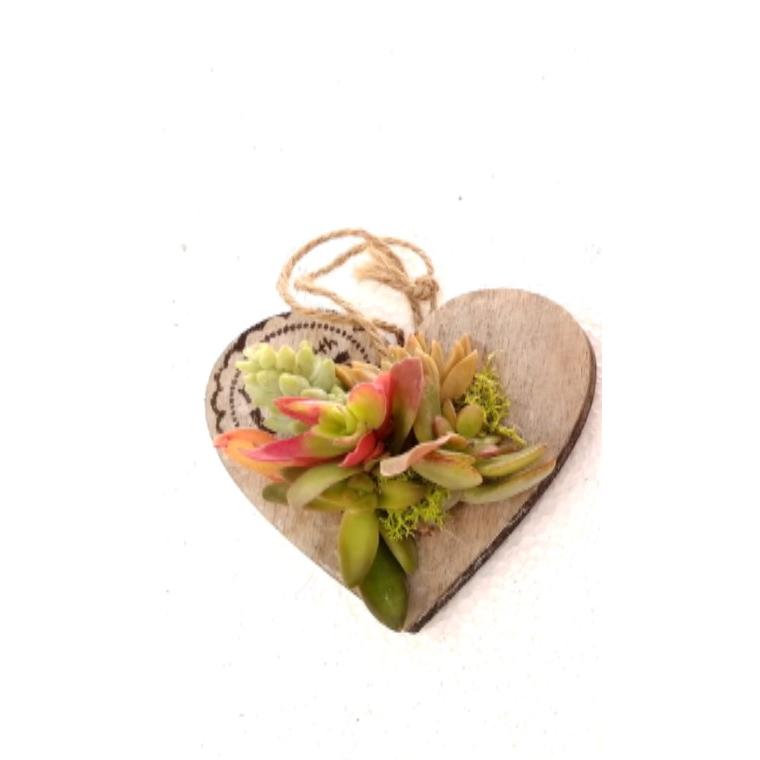 Composição de suculentas Coração