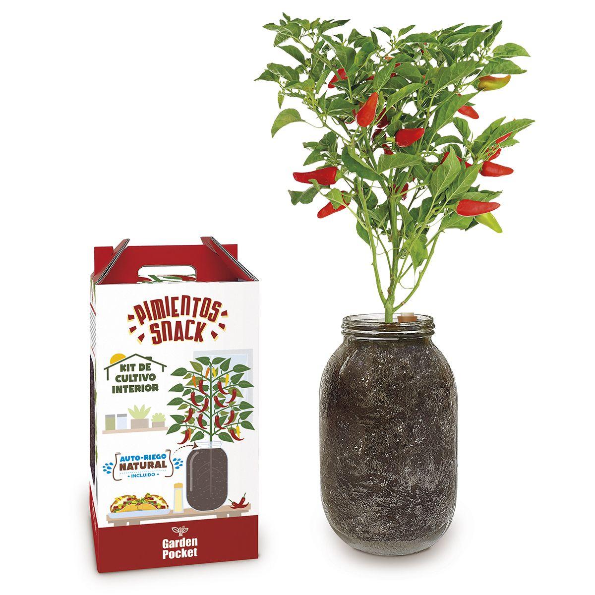 Kit de cultivo interior Snack Peppers