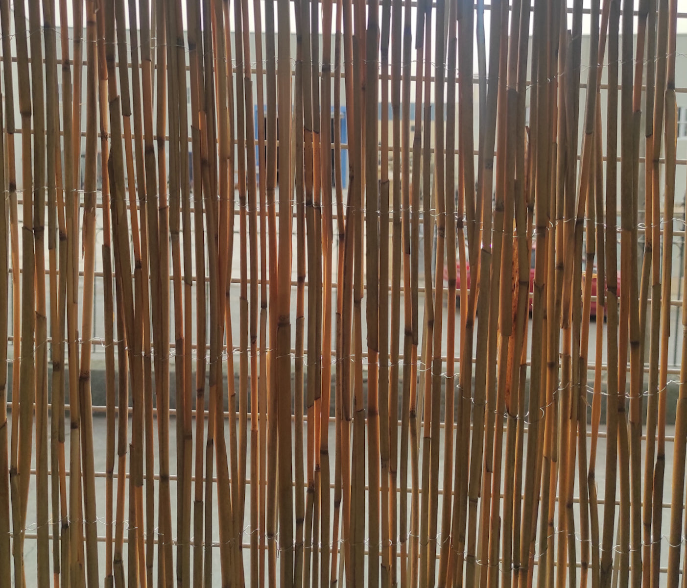 Bambú Natural| Composicion 100% Caña De Bambu| Cerramiento Natural| Cañas Cosidas Con Alambre| Ocultación 60% 1,5x3m_3