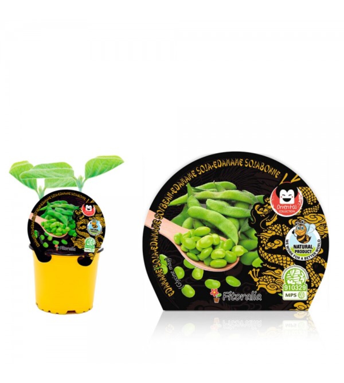 Plantón edamame soja en maceta 10,5 cm. natural - Fitoralia_0