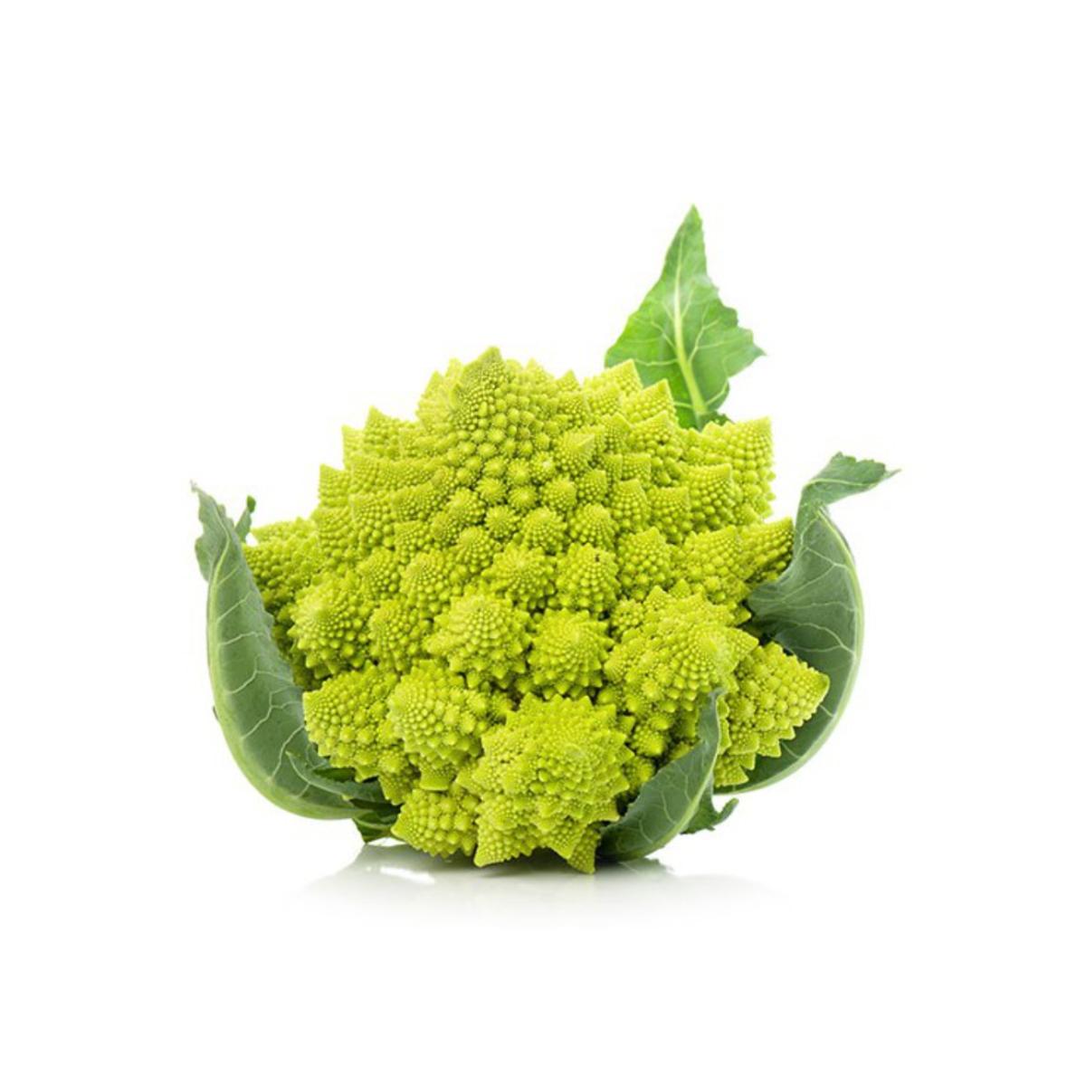 Muda de couve-flor Romanesco em vaso de 11 cm