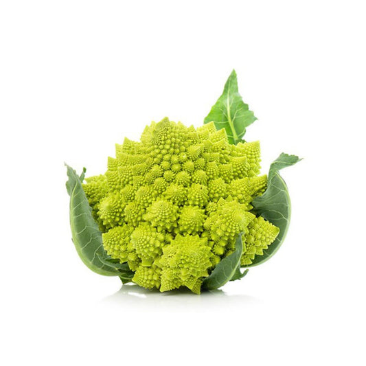 Muda de couve-flor Romanesco em vaso de 11 cm