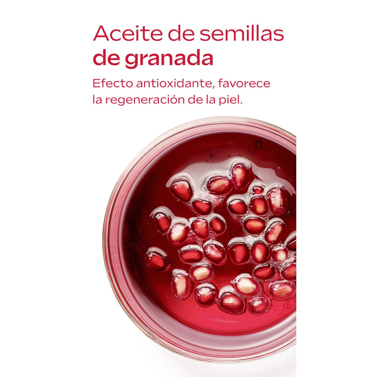WELEDA Contorno de Olhos + Creme de Dia (40% desconto) 12ml + 40ml