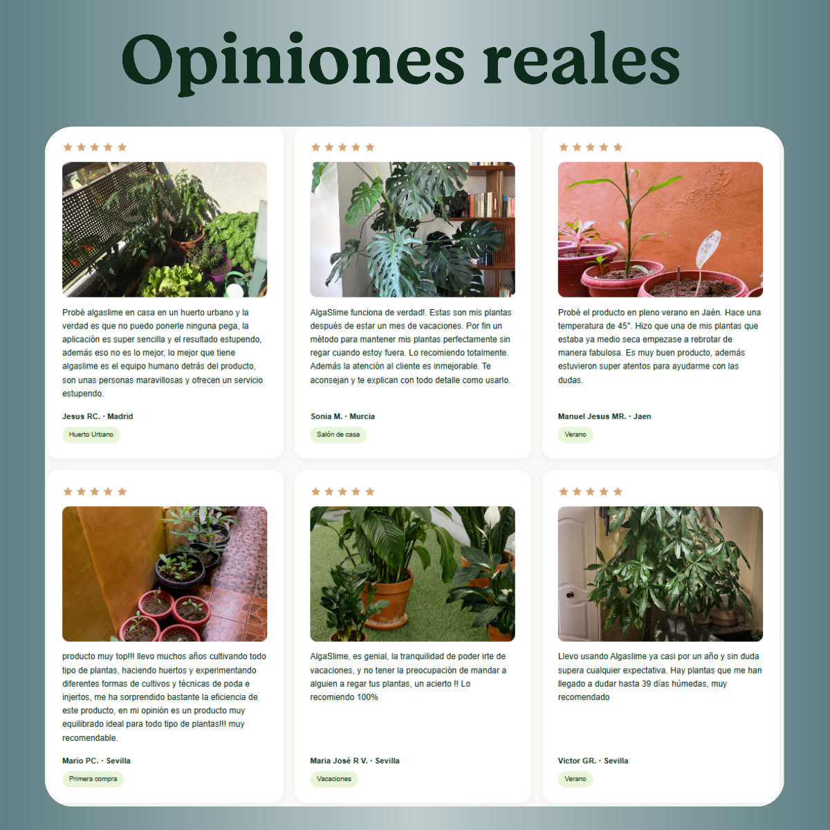 Pack 5x Gel de Riego para Plantas con Microalgas Vivas AlgaSlime 1l