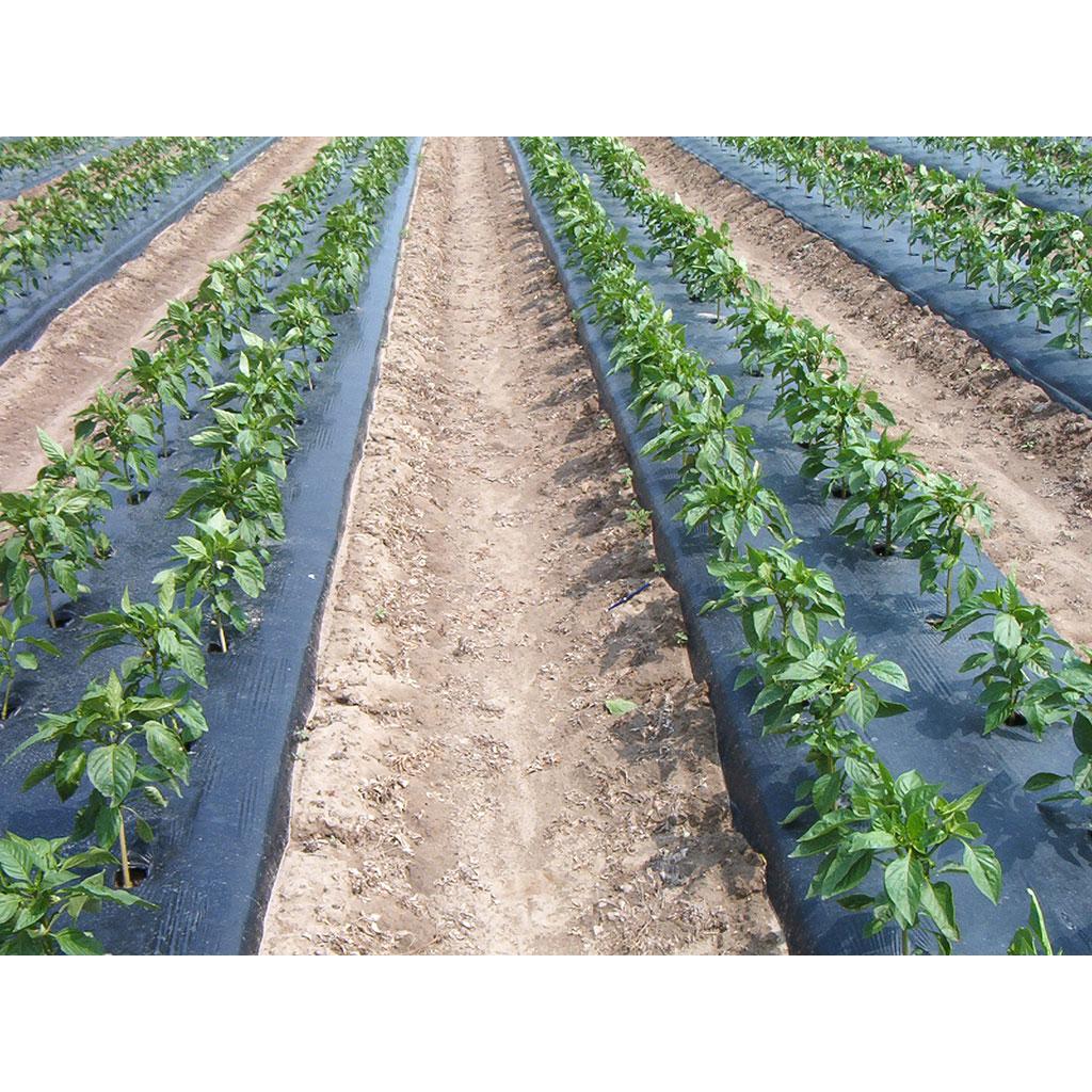 Filme microperfurado 1,4 x 10 m Faura