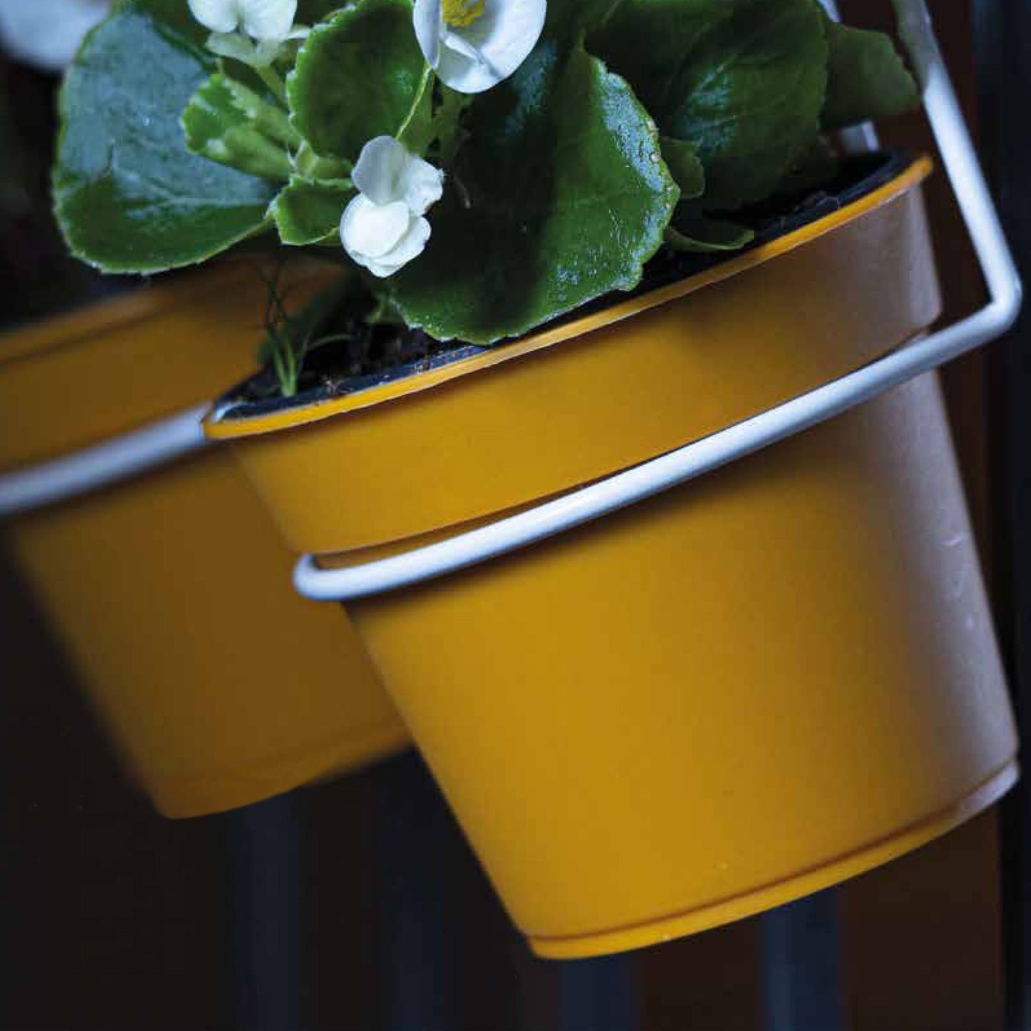 5 Macetas Cilíndricas Ø 12 Cm Con Ganchos, De Polipropileno Antracita