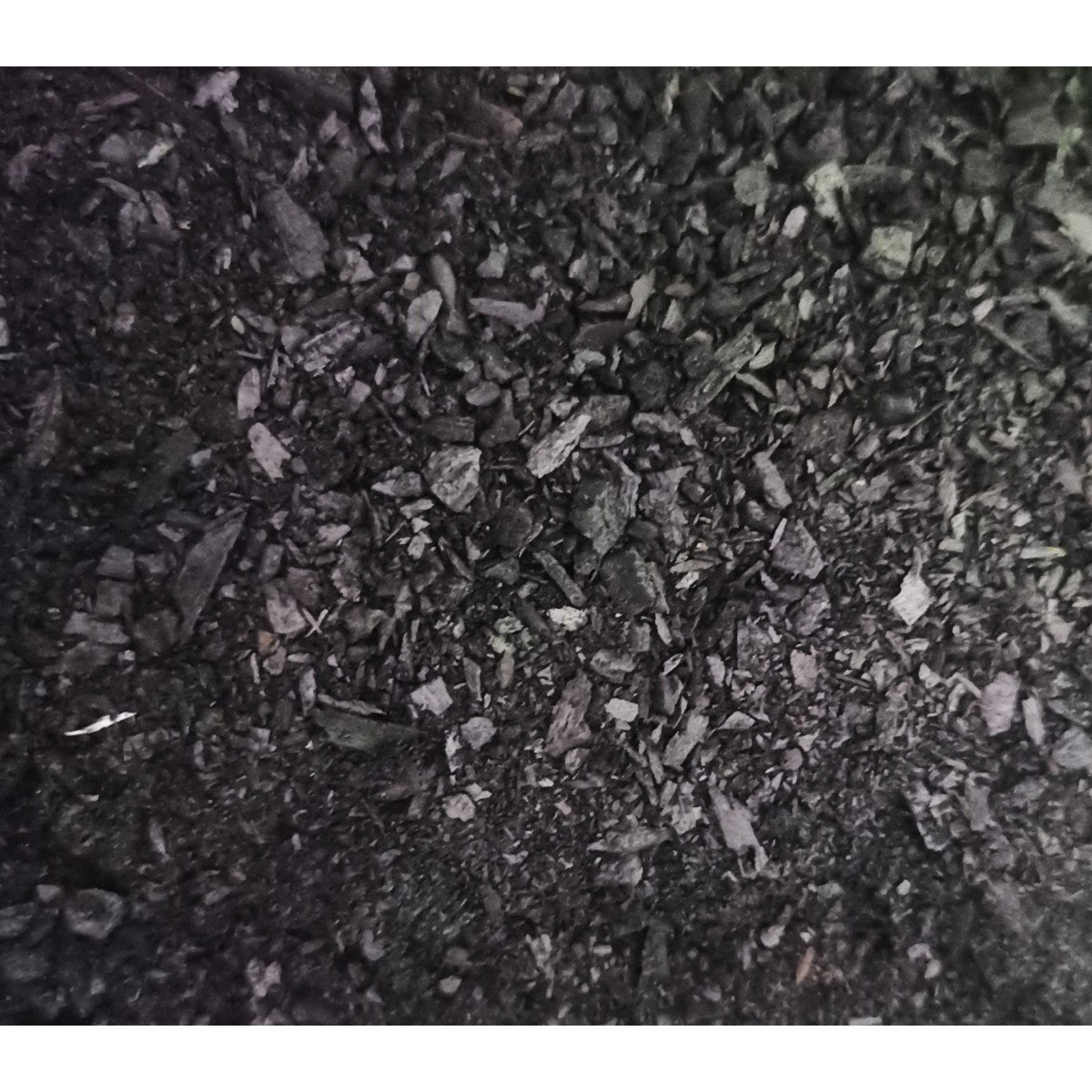 Biochar Carbón Cultivers