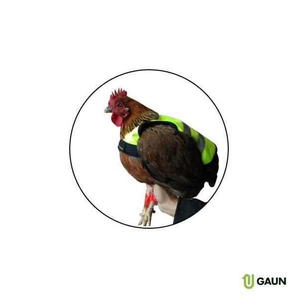 Colete de Frango