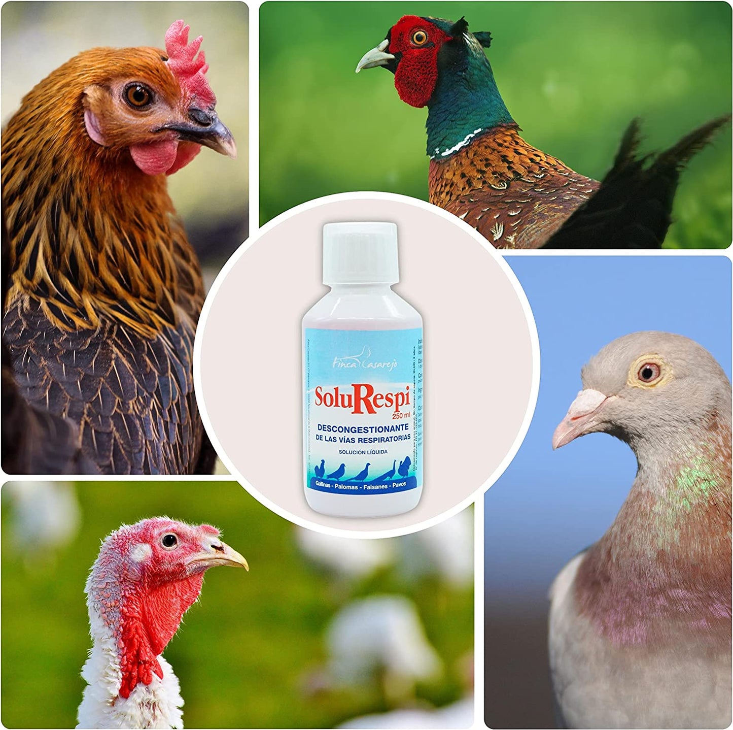 SoluRespi 1L - Solución líquida mentolada para gallinas - Apoyo nutricional en el resfriado de las aves - 100% natural_4