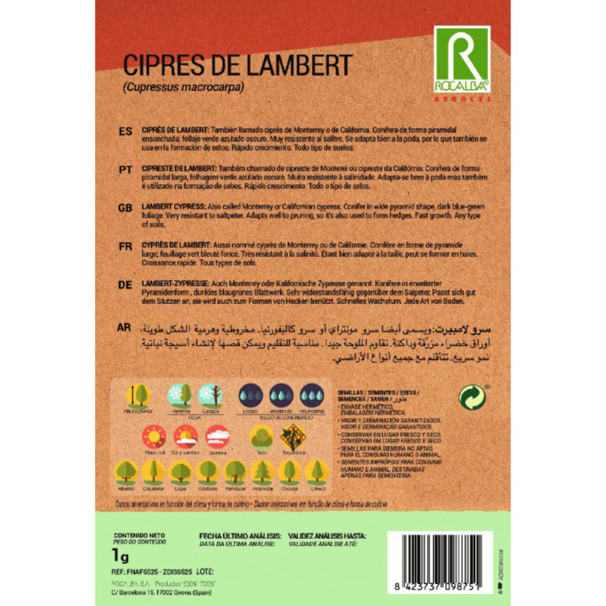 Sementes de cipreste Lambert Cypress macrocarpa