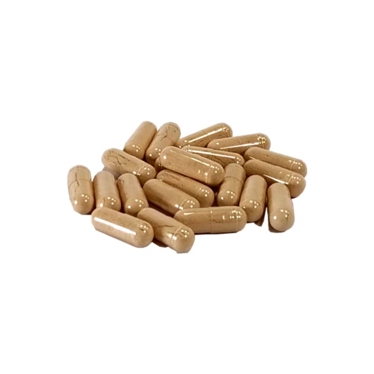 AniForte Repelente Natural de Carraças 60 cápsulas Cães 0-10 Kg