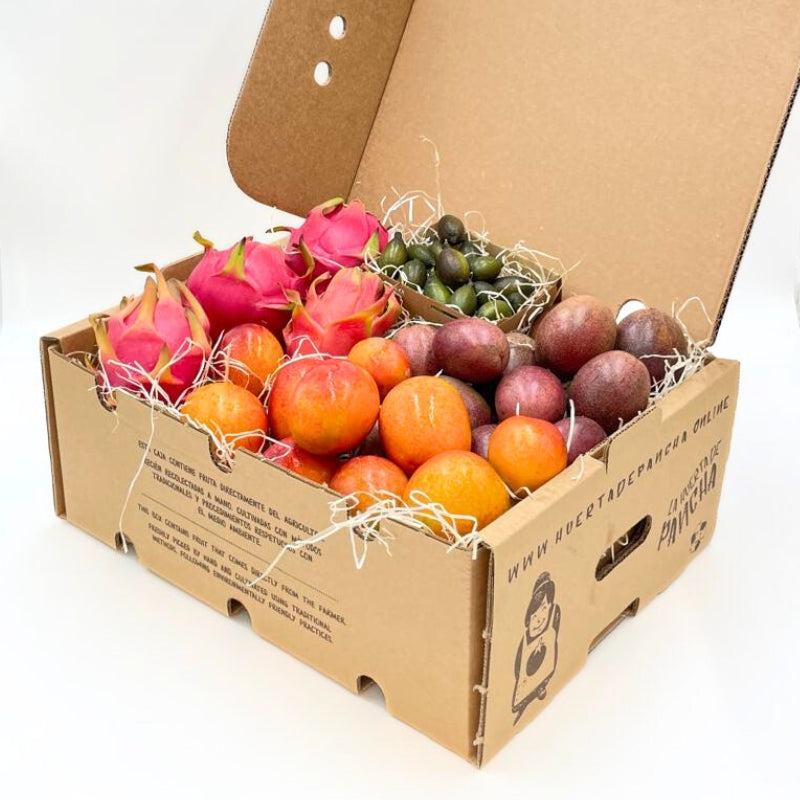 Cesta Frutas Tropicales Para Regalar de Málaga 5,5 Kg