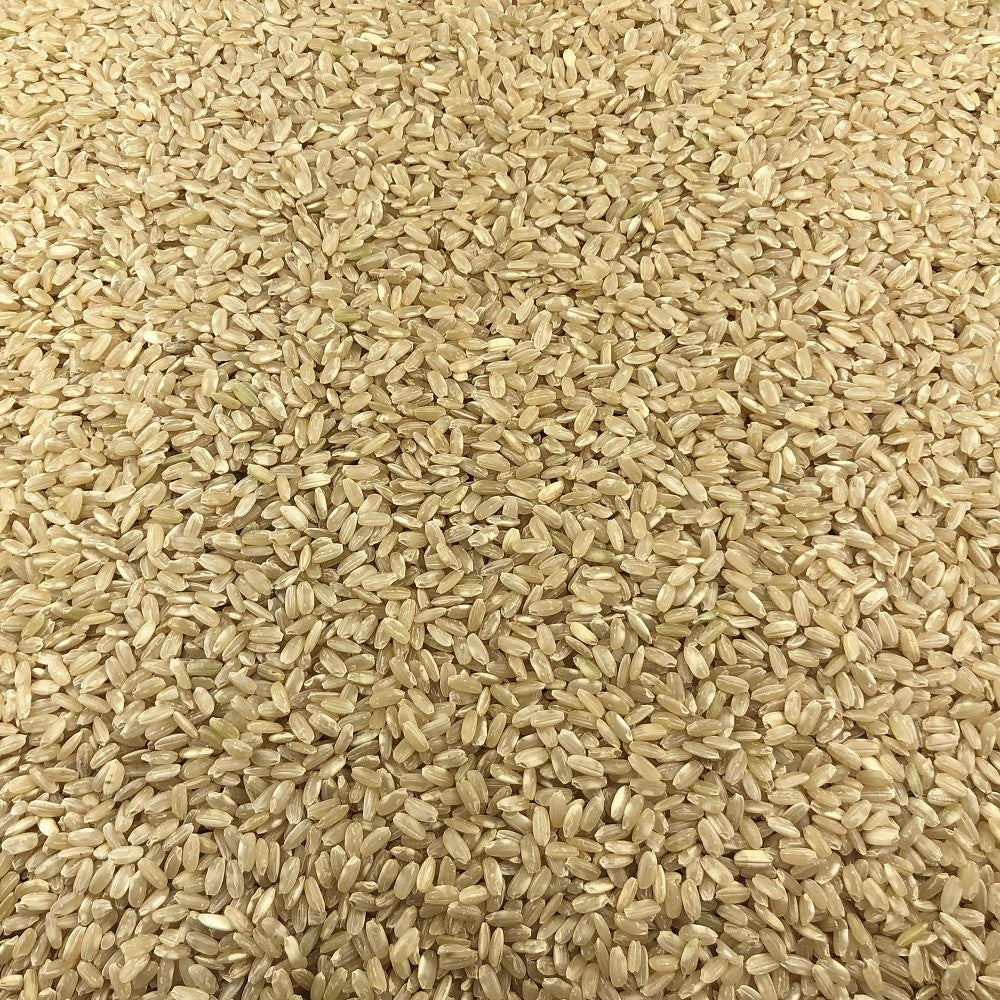 Arroz Integral Ecológico Granel 5 Kg_2