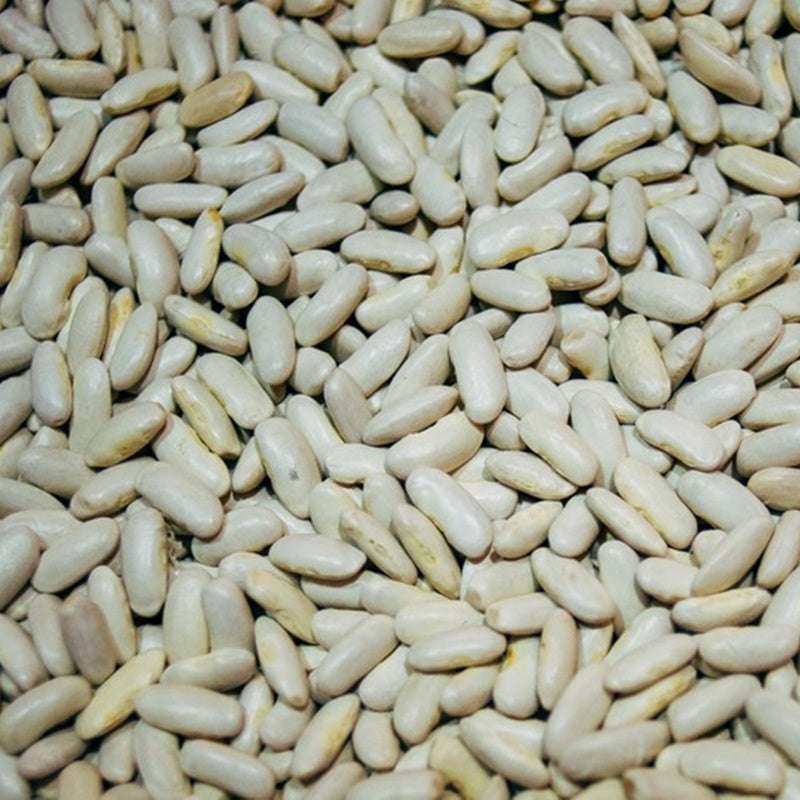 1 Kg de alubia blanca de Riñón_0