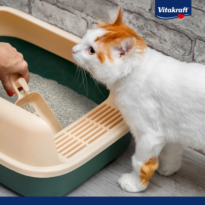 Abraçadeira Vitakraft Compact Ultra Sand 8 L