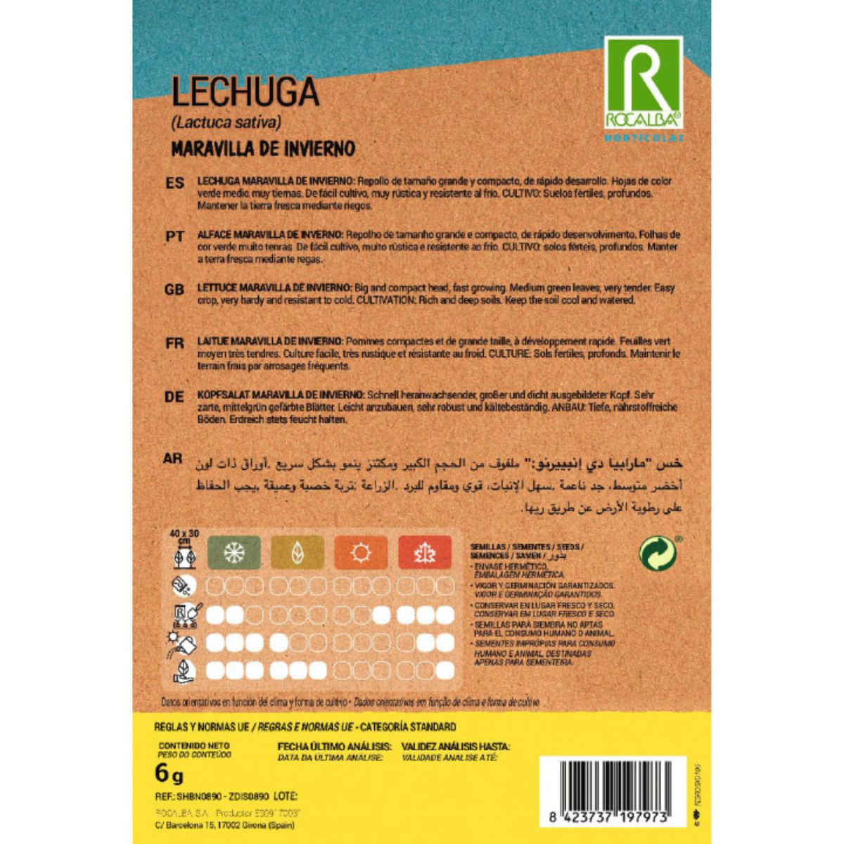 Sementes de alface Winter Wonder