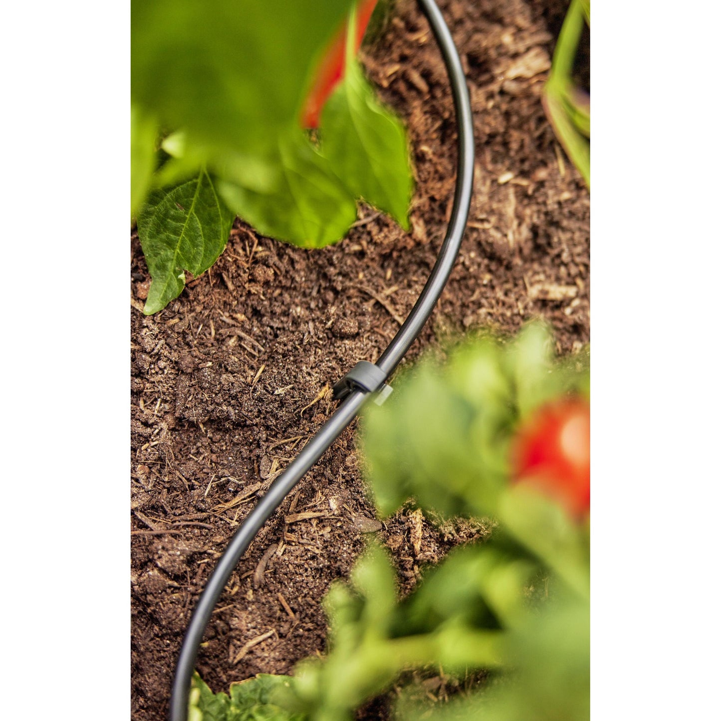 Tubo de distribuição 4,6 mm (3/16") 50 metros Microdripsystem Gardena