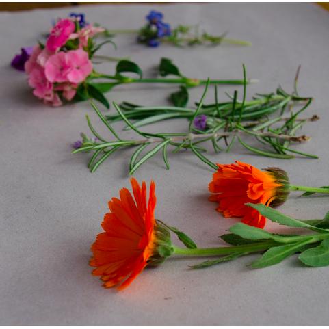 Kit de Imprensa de Flores