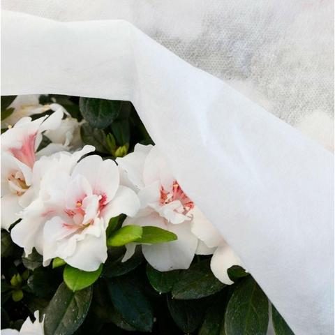 Tecido de proteção contra geada Biotop 1,5 x 5 m 17 gr/m²