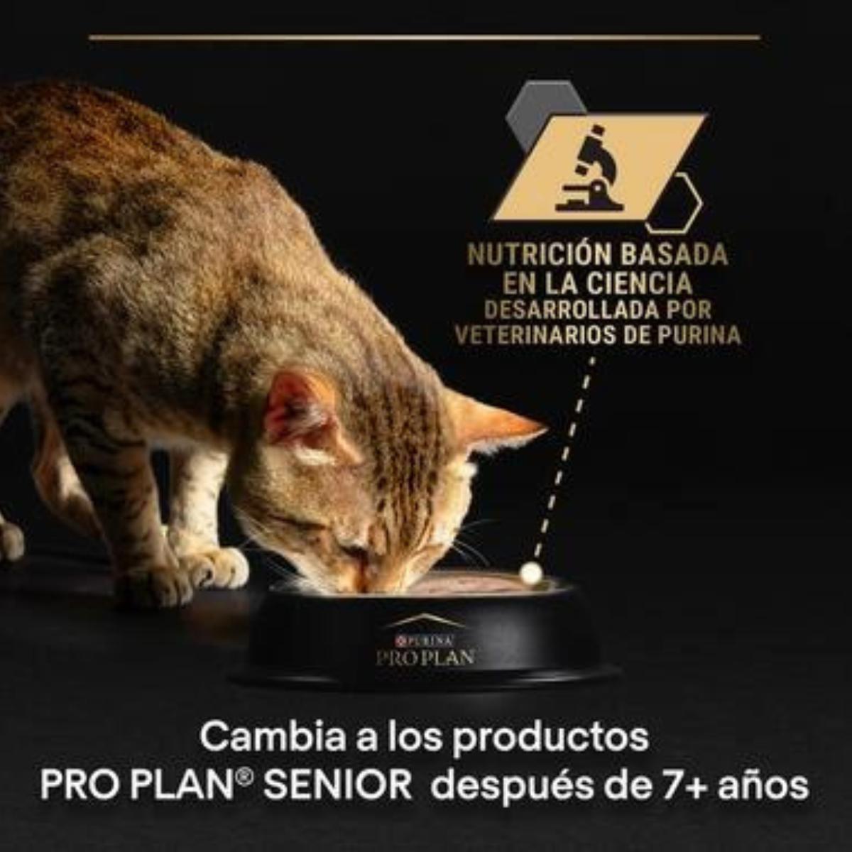 Pro Plan gato adulto Delicate Mousse rico em peru Purina 85g