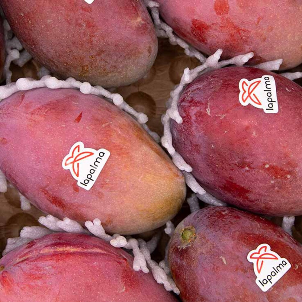 Mango Osteen 4kg Granada La Palma_5