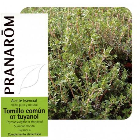 Óleo essencial de tomilho comum QT thujanol, 5 ml