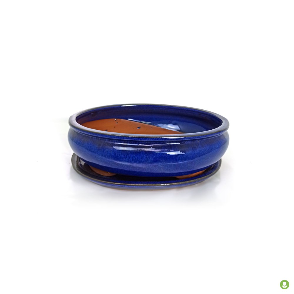 Base Bonsai Oval Azul 23cm_0