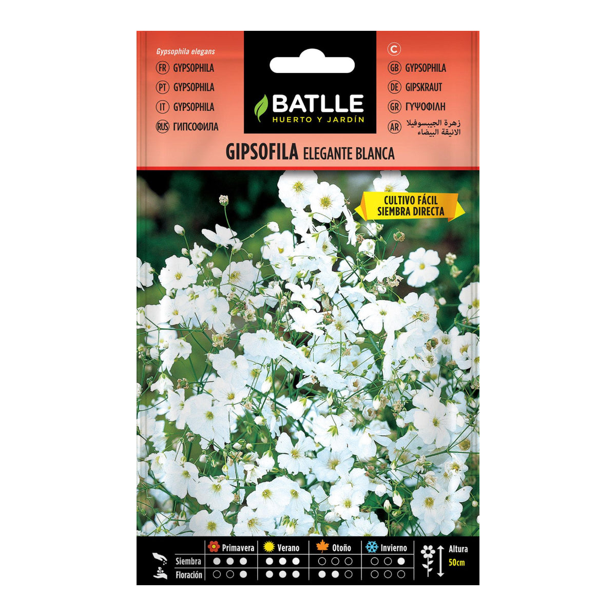 Sementes de Gypsophila Batlle White Elegant