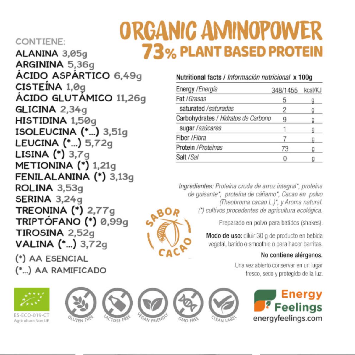 Embalagem de 2x Proteína vegan Aminopower orgânica 73% Cacau Energy Feelings 1 kg