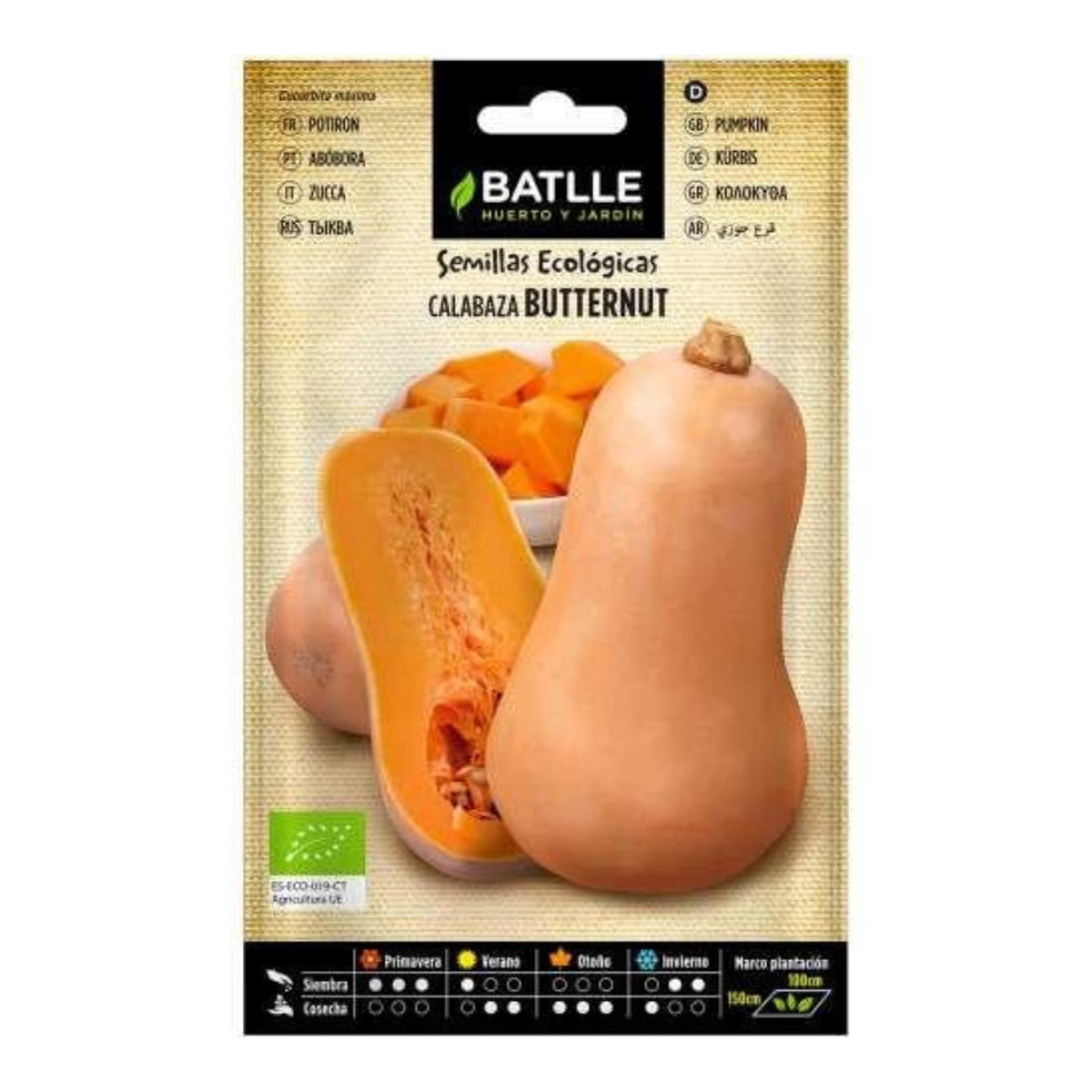 Semillas ecológicas de Calabaza butternut
