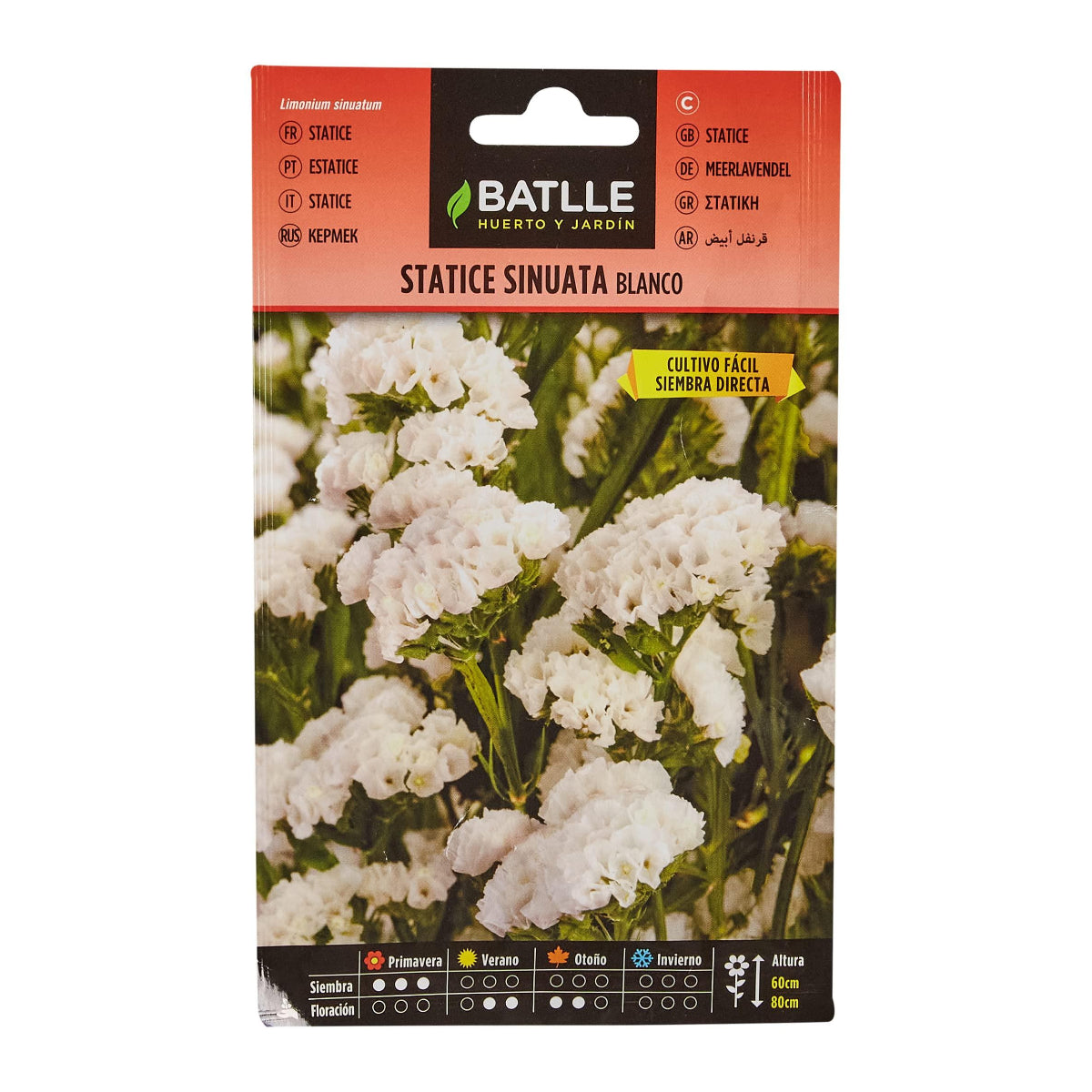 Sementes de Statice brancas Batlle