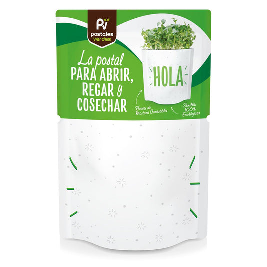 Postal de autocultivo Olá rebentos de mostarda