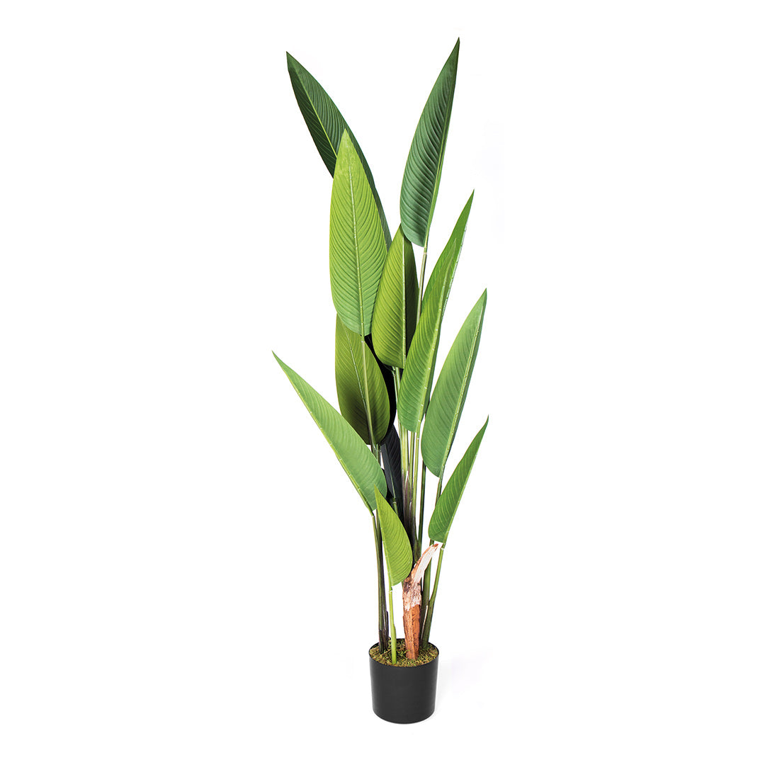 Planta Artificial Ave Del Paraíso 1.88 M / Multicolor_1