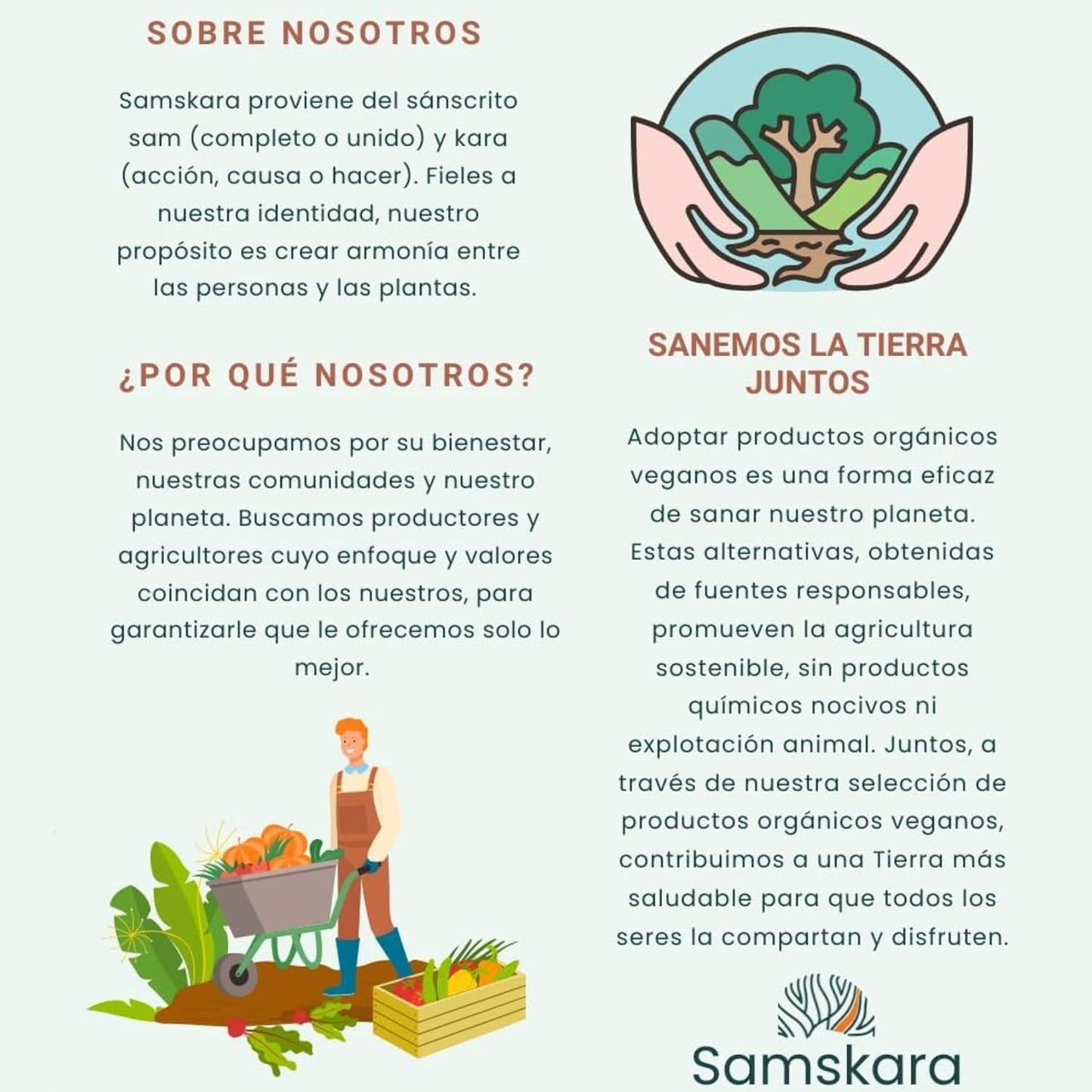 Triphala En Polvo Bio - 250g | Superalimento Ecológico Vegano Para Batidos, Smoothies Y Zumos, Sin Azúcares Añadidos_5