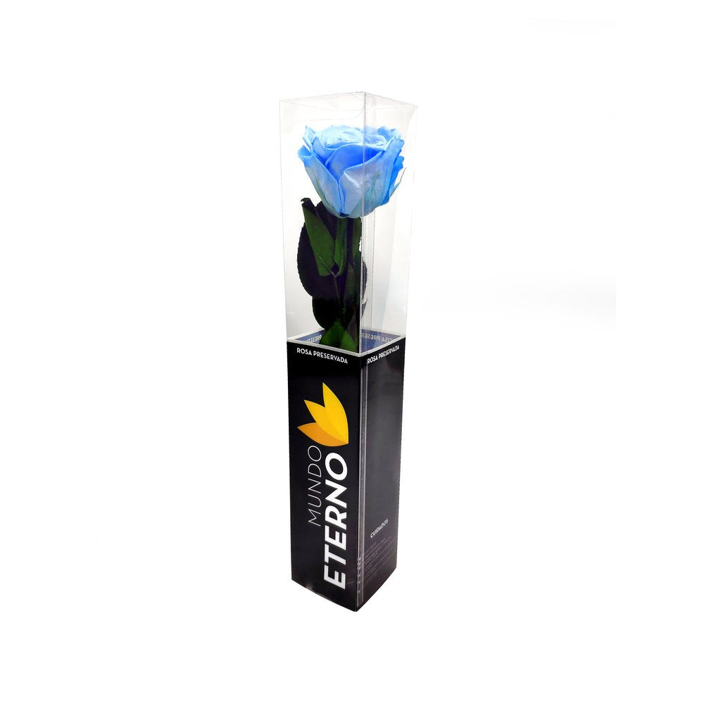 Mundo Eterno Rosa Preservada Azul Claro 35cm_1