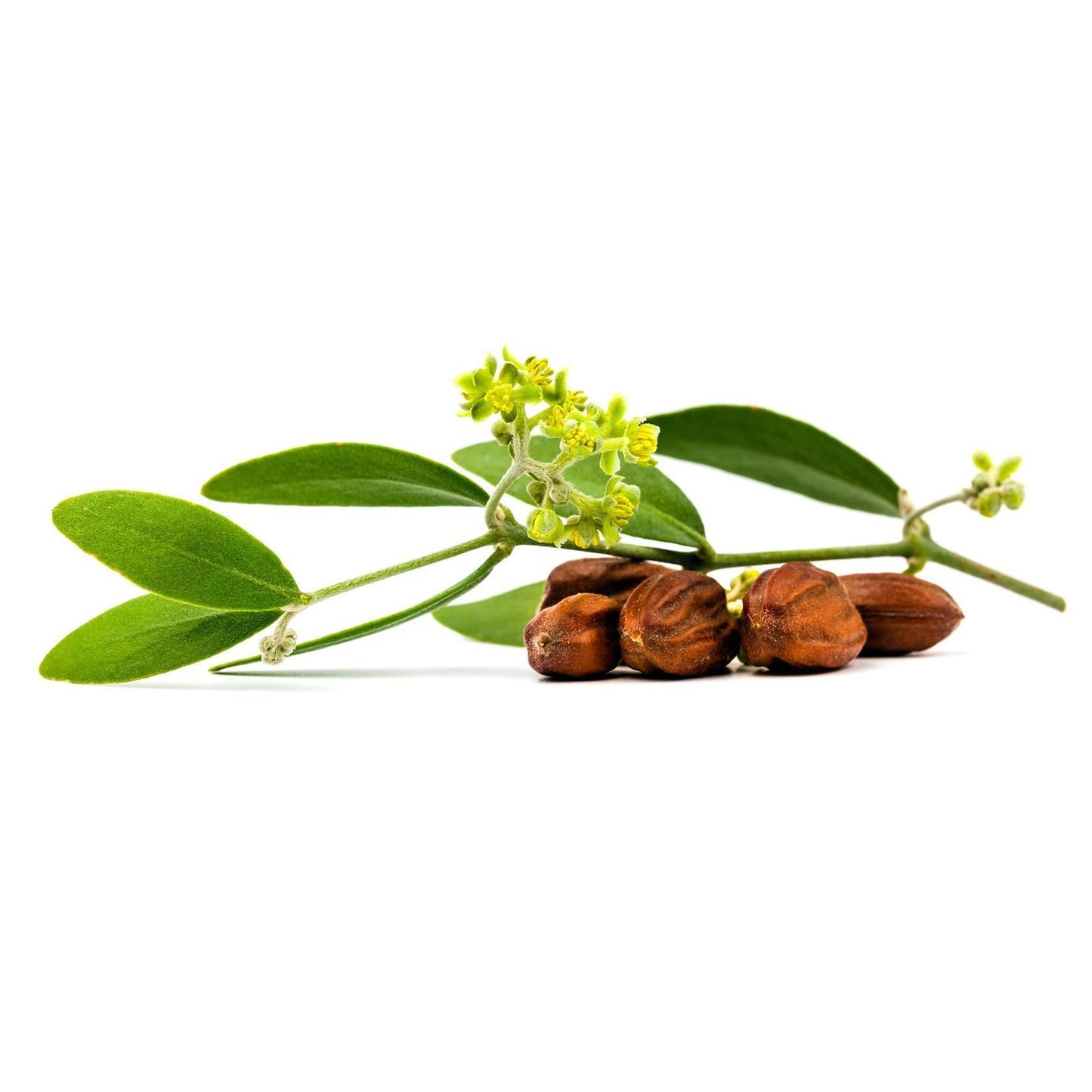 Lavera Q10 Creme Hidratante de Dia Antirrugas 50 ml